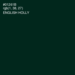 #01261B - English Holly Color Image